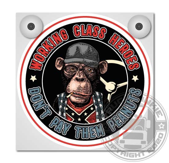 DON'T PAY PEANUTS - ENSEIGNE LUMINEUSES - COMPLET