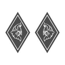 AUTOCOLLANT DE COIN SHIELD - VIKING